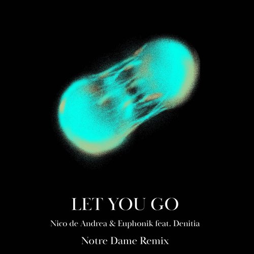 Euphonik, Nico de Andrea - Let You Go (Notre Dame Remix) feat. Denitia [AWD542491]